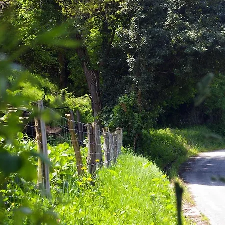 Kır Evi Casa Pelayin