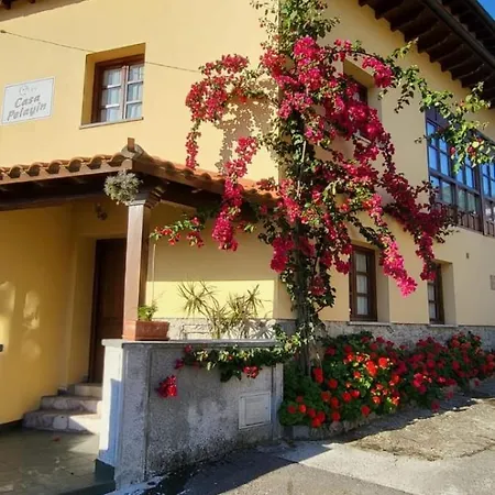 Casa Pelayin * Cue