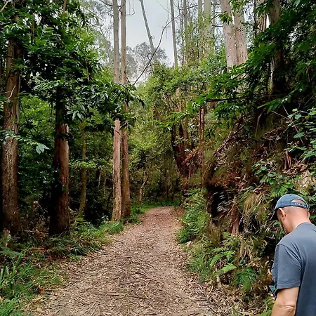 Gospodarstwo wiejskie Casa Pelayin *