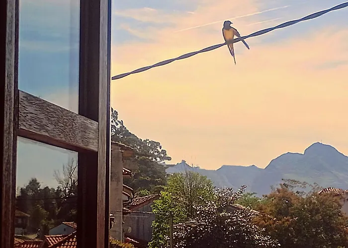 Casa Pelayin Gospodarstwo wiejskie