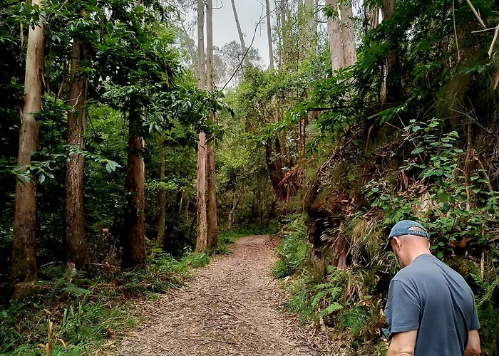 Gospodarstwo wiejskie Casa Pelayin *